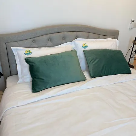 Vibes Apartament *